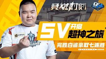 白鲨最新爆料消息视频,揭秘神秘视频背后的惊人真相